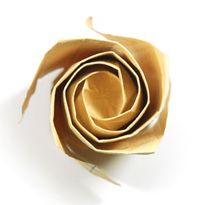 62th picture of Fullest-bloom Kawasaki rose origami flower