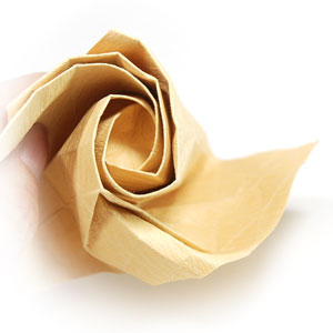 72th picture of New (Angled) Kawasaki rose paper flower