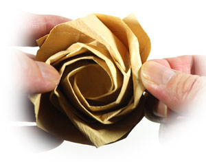 89th picture of New (Angled) Kawasaki rose paper flower