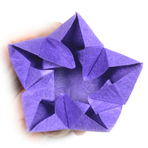 41th picture of origami bellflower