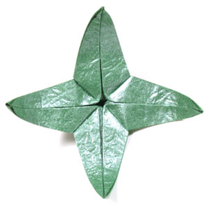 CB superior origami calyx top view