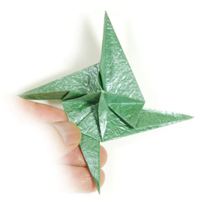 41th picture of fan origami calyx