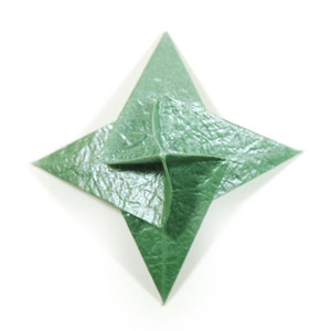 34th picture of seashell origami calyx