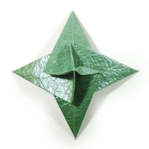 37th picture of seashell origami calyx