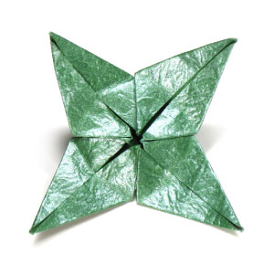 47th picture of spiral origami calyx