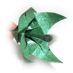 47th picture of standard origami calyx