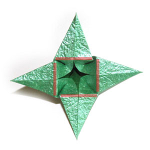 50th picture of standard origami calyx