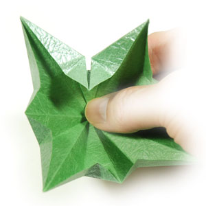 38th picture of super origami calyx