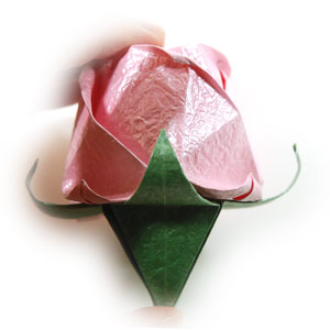 44th picture of super origami calyx
