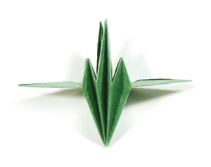 32th picture of supreme origami calyx