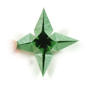 33th picture of supreme origami calyx