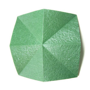 10th picture of ultimate origami calyx
