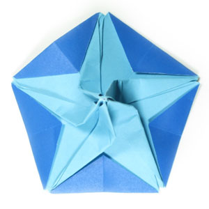 24th picture of origami morning glory with five petals