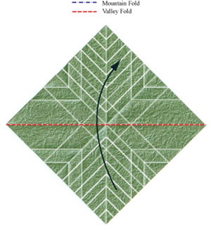 21th picture of quadruple origami leaf II