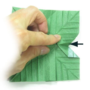 35th picture of quadruple origami leaf II