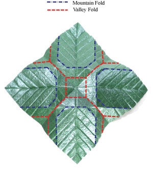 34th picture of quadruple origami leaf III