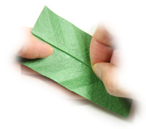 12th picture of single origami leaf
