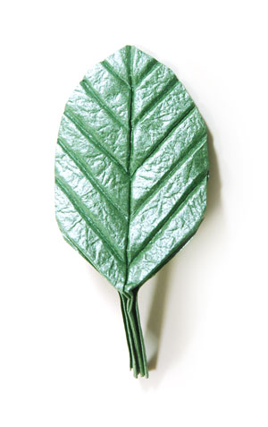 18th picture of single origami leaf