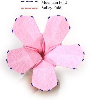 35th picture of origami phlox flower with five petals