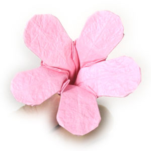 36th picture of origami phlox flower with five petals