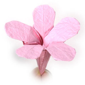 origami phlox flower with five petals