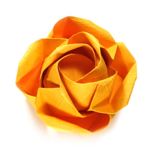 origami beauteous rose paper flower