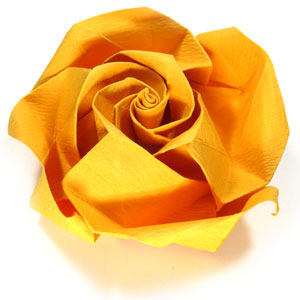65th picture of origami beauty rose paper flower