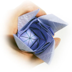47th picture of dream origami rose