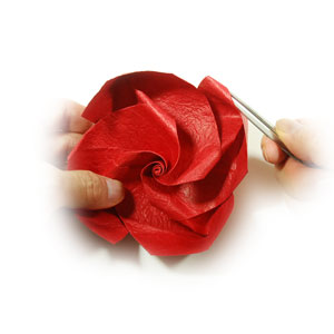 61th picture of Lovely origami rose paper flower (Easy Origami Rose III)