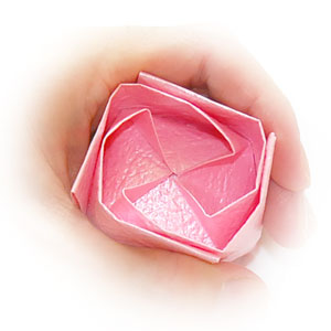 41th picture of QT origami rose