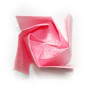 46th picture of QT origami rose