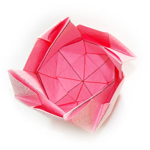 62th picture of QT origami rose