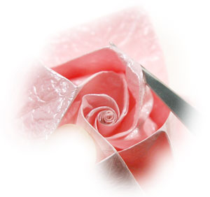 70th picture of Swirl origami rose