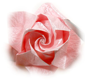 71th picture of Swirl origami rose