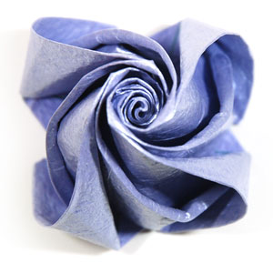 79th picture of dream origami rosebud