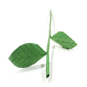 hollow origami stem