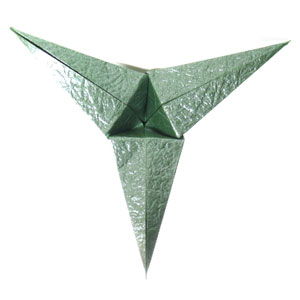 38th picture of Three-sepals standard origami calyx