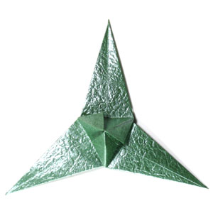 39th picture of Three-sepals standard origami calyx