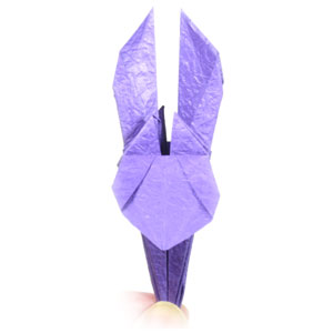 18th picture of traditional origami iris flower