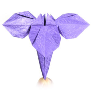 origami iris flower