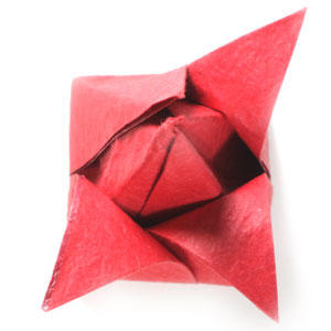 22th picture of traditional origami tulip